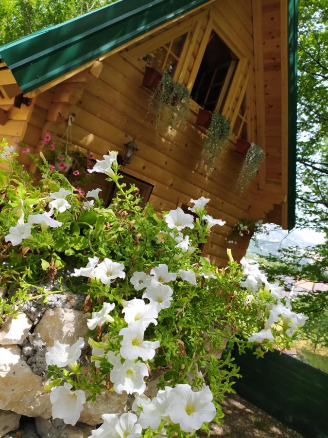 Brvnara Fairy Tale Villa Cetinje Exterior photo